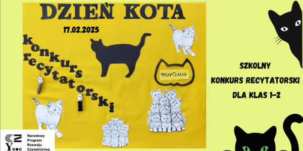 konkurs koty.png