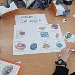 Biologia -okulary VR zdj. 7.jpeg