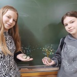uczniowie i drzewka 3.jpg