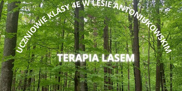 Na główną stronę.jpg