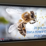 20 maja Światowy Dzień Pszczół.jpg