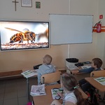 Poznajemy fascynujący świat pszczół.jpg