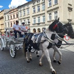 Uczniowie klas siódmych na wycieczce (5).jpg