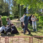 Realizacja projektu Ratujemy owady zapylające (2).jpg