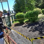 Realizacja projektu Ratujemy owady zapylające (1).jpg