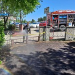 Realizacja projektu Ratujemy owady zapylające (3).jpg