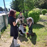 Realizacja projektu Ratujemy owady zapylające (7).jpg