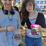 Realizacja projektu Ratujemy owady zapylające (9).jpg