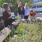 Realizacja projektu Ratujemy owady zapylające (11).jpg