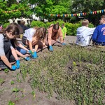 Realizacja projektu Ratujemy owady zapylające (12).jpg
