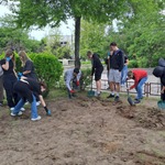Realizacja projektu Ratujemy owady zapylające (17).jpg