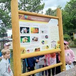 Tablica edukacyjna - Owady zapylające.jpg