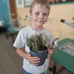 Klasowy ogródek klasy 1d (7).jpg