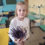 Klasowy ogródek klasy 1d (8).jpg