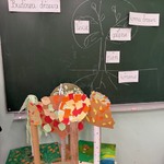 Projekt Drzewa.jpeg