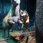 2d i 2g w Białowieży  (4).jpg