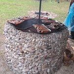 2d i 2g w Białowieży  (6).jpg