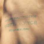 Zdj.16 Ratujmy kasztanowce.jpg