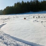 Weronika_Smiarowska - 2 miejsce (1).jpeg