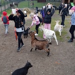 Klasa 2F w Podlaskiej Toskanii (3).jpg