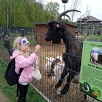 Klasa 2F w Podlaskiej Toskanii (6).jpg