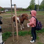 Klasa 2F w Podlaskiej Toskanii (5).jpg