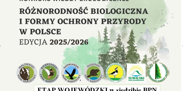 BPN konkurs.png