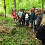 3A w Białowieży (7).jpg