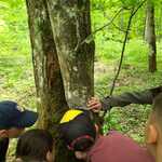 3A w Białowieży (8).jpg