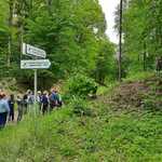 3A w Białowieży (10).jpg