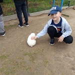 2A i 2C na wycieczce do Animory (9).jpg