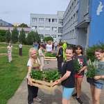 Kwietna łąka zdj.4.jpg