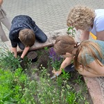 Kwietna łąka zdj.22.jpg