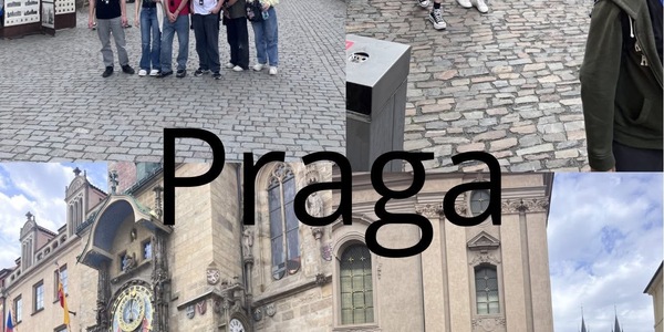 Wycieczka klas 7b_ 7c_ 7f i 8d  (3) — kopia.jpeg