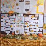 Zwierzośniadaniaki (2).jpg