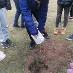 Akcja sadzenia drzew (9).jpg