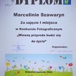 Dyplomy -Wiosną przyroda budzi się do życia -  (3).jpg