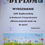 Dyplomy -Wiosną przyroda budzi się do życia -  (1).jpg