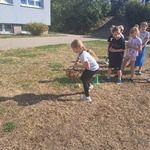 Święto Ziemniaka-wesołe zabawy klasy 3c i 3a (4).jpg