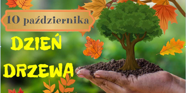 dzien drzewa.PNG