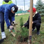 Dzień Drzewa zdj.4 kl.5C.jpg