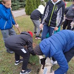 Dzień Drzewa zdj.5 kl.5C.jpg