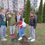 Dzień Drzewa zdj.9 kl.5C.jpg