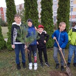 Dzień Drzewa zdj.8 kl.5C.jpg