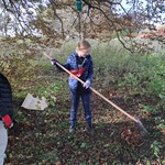 Ratujmy kasztanowce zdj. 6.jpg