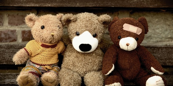 teddy-4449280_1280.jpg