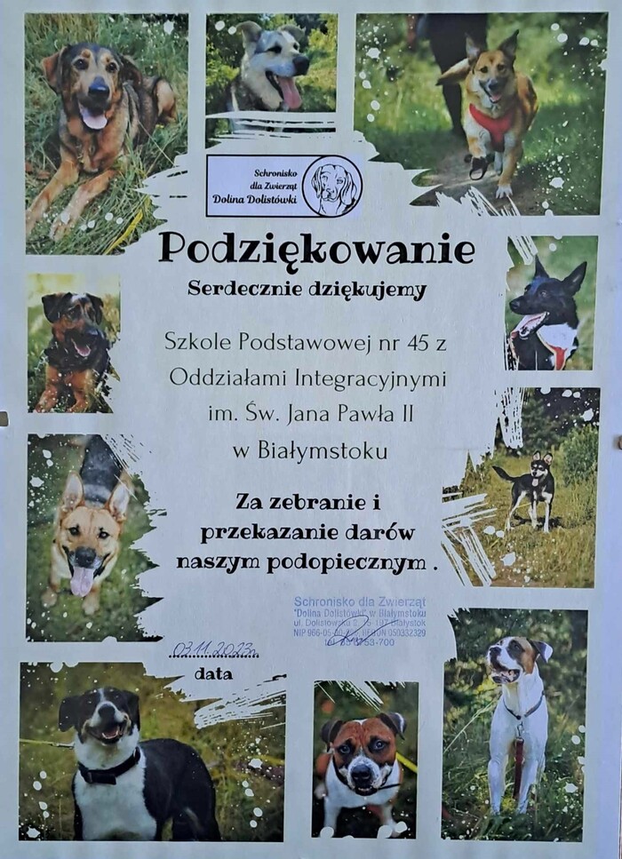 Zbiórka dla schroniska (2).jpg