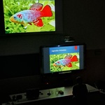UwB zdj.12.jpg